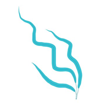 Beyaz yosun ve mercanlar.