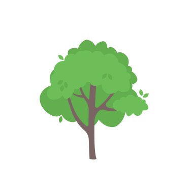 Yeşil ağaçlar düz vektör çizimi. Güzel yeşil yapraklar beyaz üzerine izole.