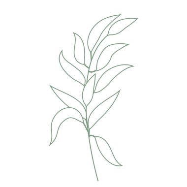 Tropikal yapraklar soyut otların yeşil doğal şekillerini bırakır. Bahar zamanı vektör illüstrasyonu. Çizgi sanatı doğası boho tarzı.