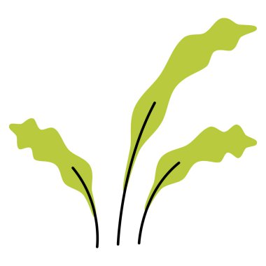 El botanik yaprakları beyaz arka planda izole edilmiş. muz yaprağı. Doğal yeşil elementler, elle çizilmiş illüstrasyon