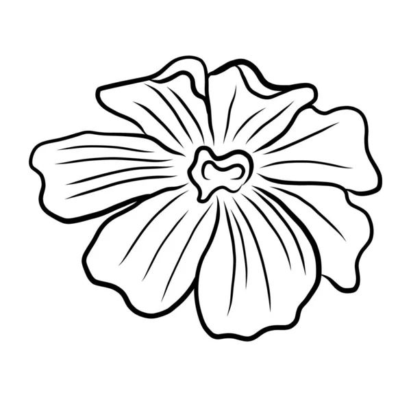 手绘花卉背景。线条艺术花 — 图库矢量图片