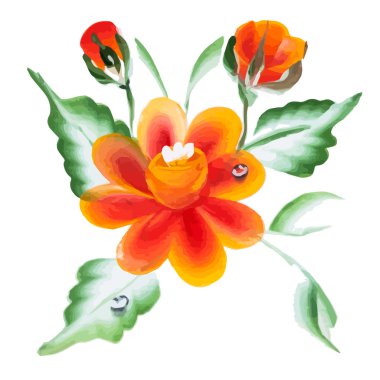 Suluboya vektör çiçek. Vektör suluboya çiçek. 