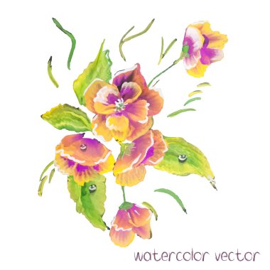 Suluboya vektör çiçek. Vektör suluboya çiçek.
