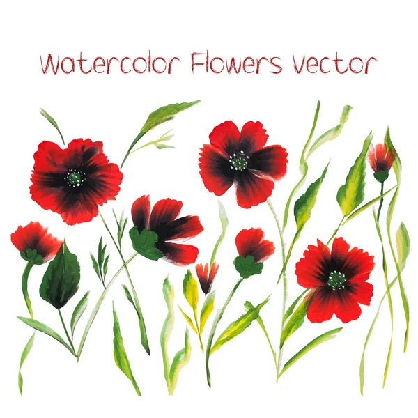 Watercolor Vector Flowers. Vector Watercolour Flowers. — Stock Vector