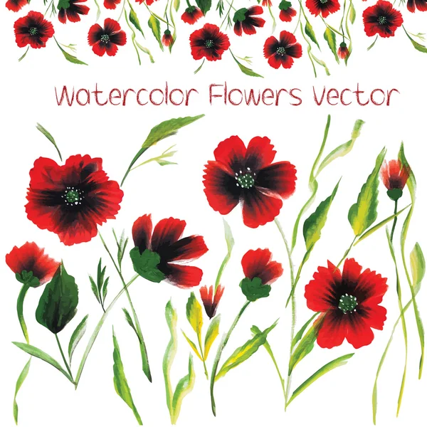 Watercolor Vector Flowers. Vector Watercolour Flowers. — Stock Vector