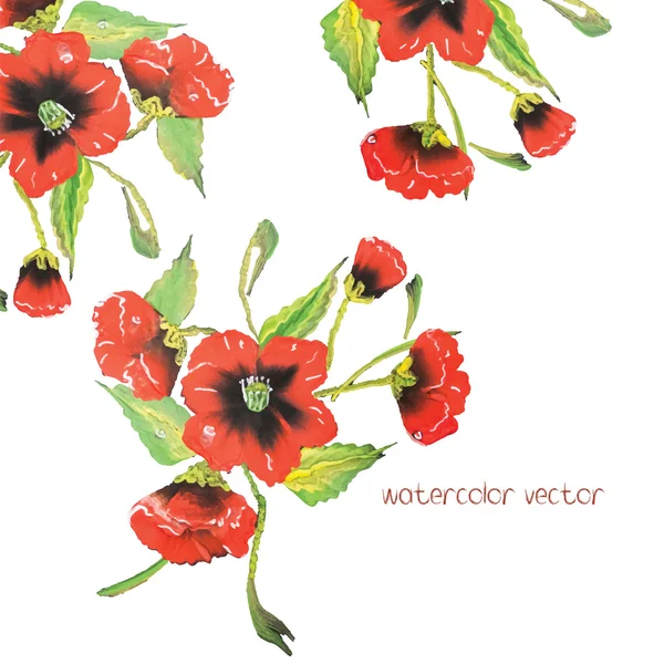 Aquarell-Vektorblumen. Vektor-Aquarellblumen. — Stockvektor