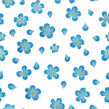 Dikişsiz desen suluboya vektör çiçek. Vektör suluboya çiçek. 