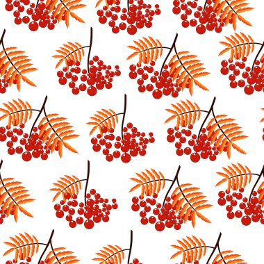 Üvez meyveleri ile sonbahar seamless modeli. Doğa arka plan. Sonbahar renkli çiçek arka plan. Zarif çiçek seamless modeli
