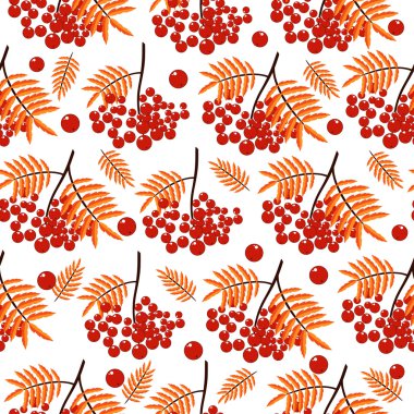 Üvez meyveleri ile sonbahar seamless modeli. Doğa arka plan. Sonbahar renkli çiçek arka plan. Zarif çiçek seamless modeli