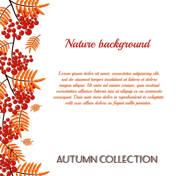 Autumn pattern with rowan berries. Nature background.  Fall colorful floral background. Elegant floral  pattern — Stock Vector