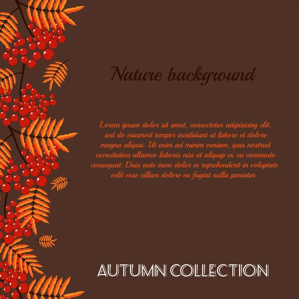 Autumn pattern with rowan berries. Nature background.  Fall colorful floral background. Elegant floral  pattern — Stock Vector