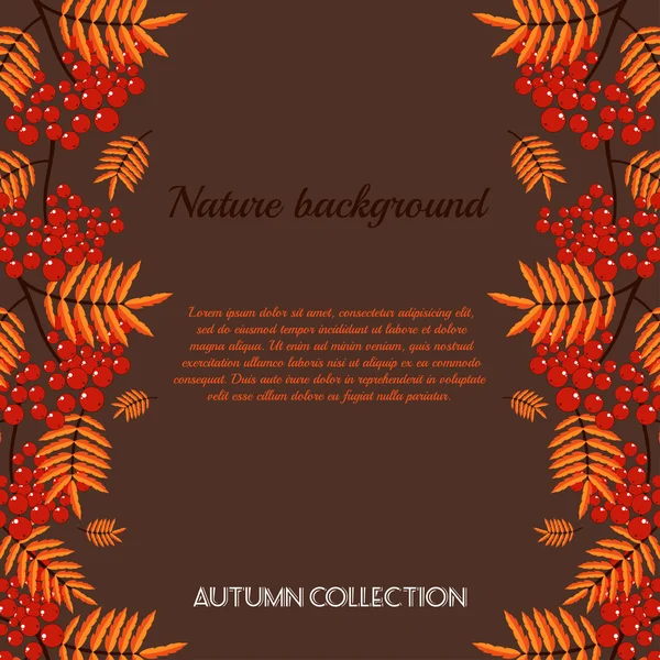 Autumn pattern with rowan berries. Nature background.  Fall colorful floral background. Elegant floral  pattern — Stock Vector
