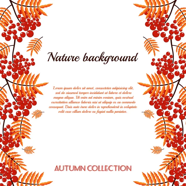 Autumn pattern with rowan berries. Nature background.  Fall colorful floral background. Elegant floral  pattern — Stock Vector