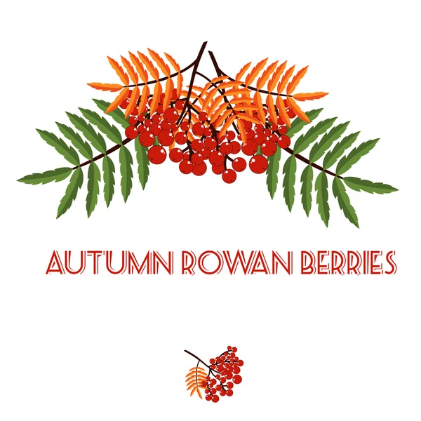 Autumn pattern with rowan berries. Nature background.  Fall colorful floral background. Elegant floral  pattern — Stock Vector