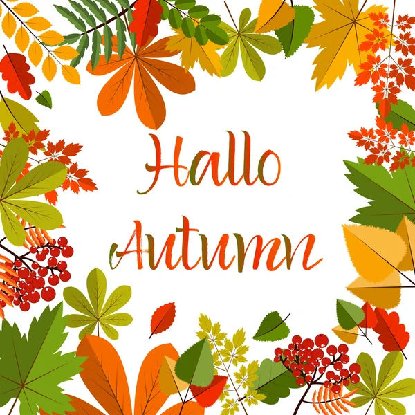 Autumn leaves on white background. Bright Fall Background. Colourful autumn birch, oak, rowan, maple, chestnut, aspen leaves and acorns on white background. — Stock Vector