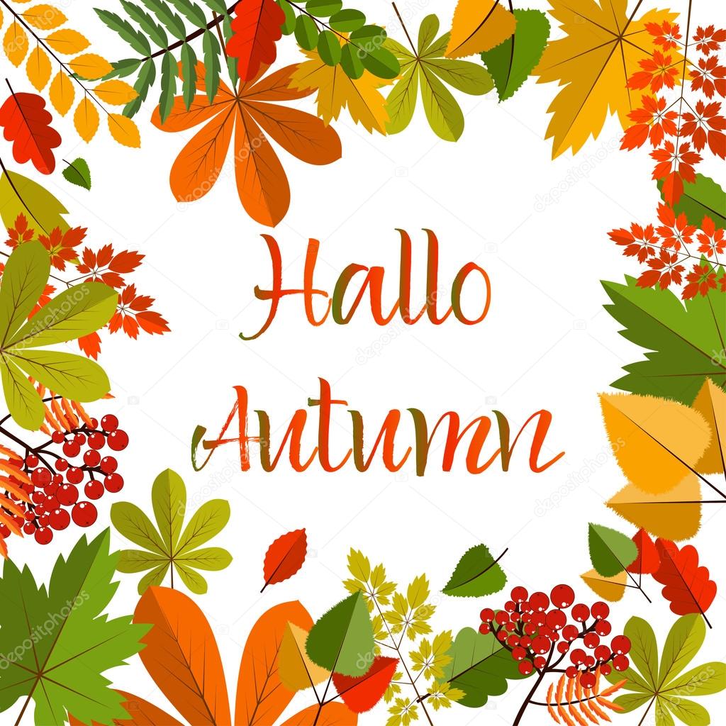 Autumn leaves on white background. Bright Fall Background. Colourful autumn birch, oak, rowan, maple, chestnut, aspen leaves and acorns on white background.