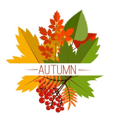 Sonbahar yaprakları vektör afiş. Sonbahar yaprakları ile sonbahar tipografik arka plan. Sonbahar tipografik. Sonbahar yaprak. Vektör çizim Eps 10. Sonbahar satışı vektör büyük başlığı