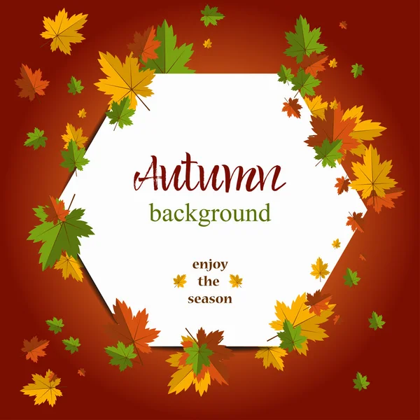 Seasonal background with maple leaves. Copy space. Vector Illustration of an Autumn Design with Autumnal Branch — Stock Vector
