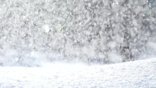 冬季森林里的降雪 — 图库视频影像