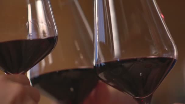 Girls clink glasses of red wine — Stock Video