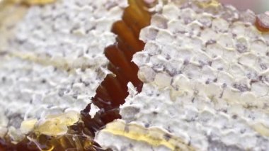 Bal tarak yakın çekim