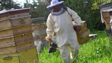 Arıcı ve bal tarak