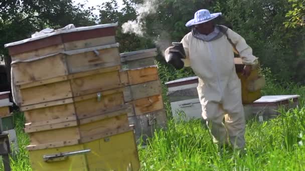 Včelař v ochranné masce