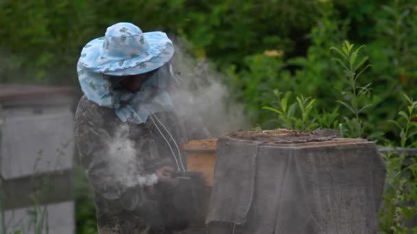 Beekeeper handles beehive with smoke — Stock Video