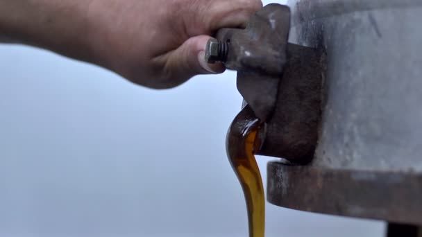 Pouring honey outdoors — Stock Video