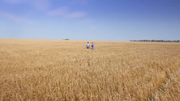 Dois agricultores no campo — Vídeo de Stock