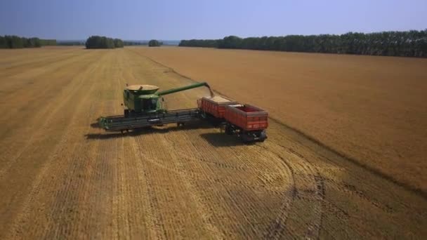 Aerial flight over harvesters — Stock Video