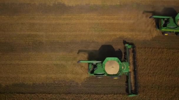 Luchtfoto vlucht over rooiers — Stockvideo