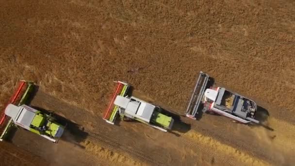 Aerial flight over harvesters — Stock Video