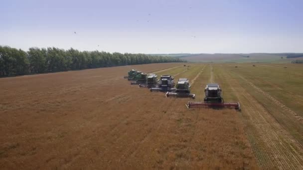 Aerial flight over harvesters — Stock Video