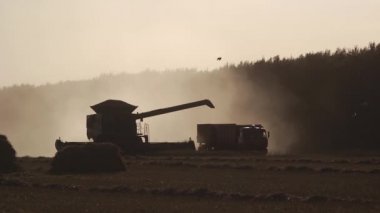 Tarım birleştirmek hasat