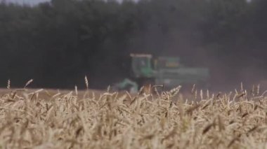 Buğday hasat toplama kombaynları