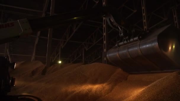 Trator que trabalha no armazenamento de grãos — Vídeo de Stock