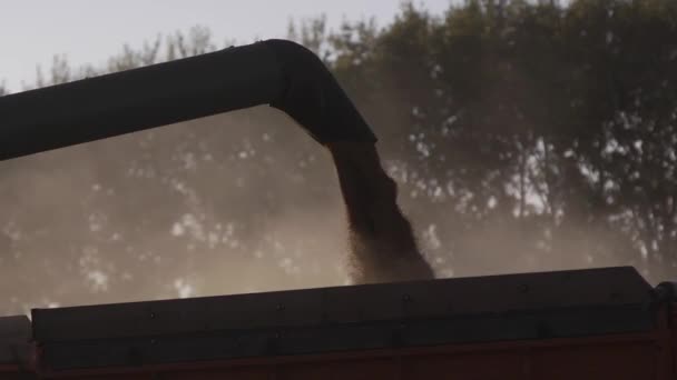 Agriculture combine harvester — Stock Video