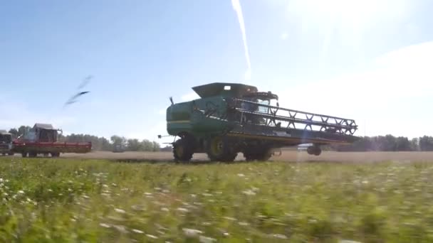 Harvesters go into the field to harvest — Stock Video