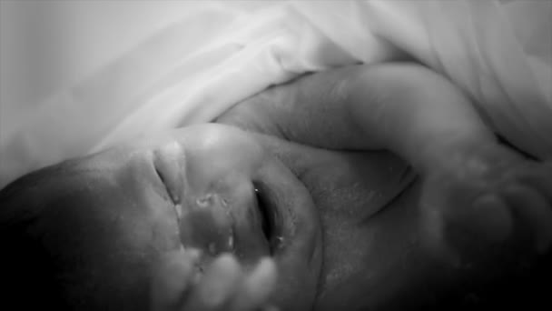 Pasgeboren baby in poedervorm in het ziekenhuis — Stockvideo