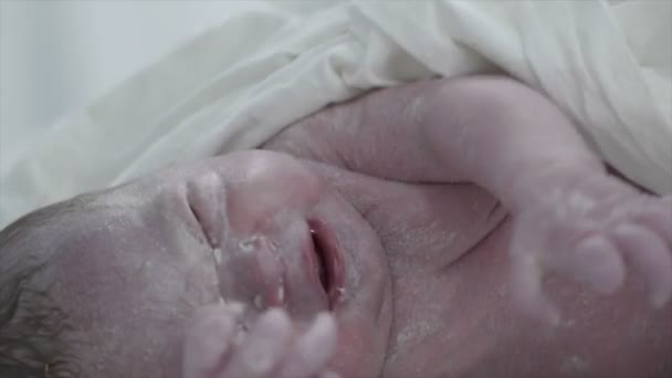 Новорожденный ребенок в порошке в больнице — стоковое видео