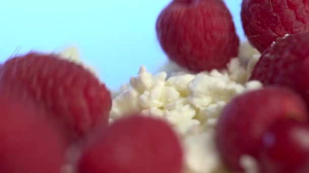 Framboesas frescas que caem no queijo — Vídeo de Stock