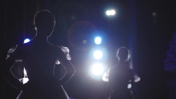 Bailarinas clásicas de ballet en el punto — Vídeos de Stock