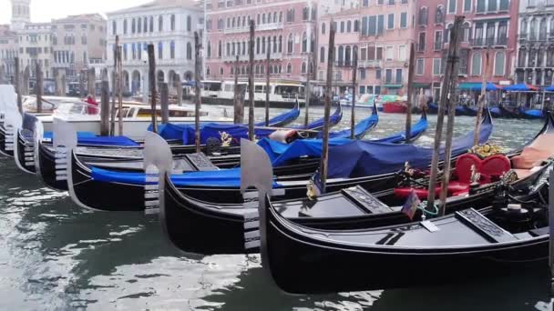 Gondole nel grande canale di Venezia — Video Stock