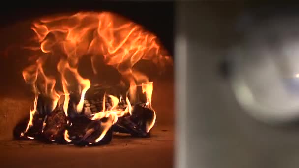 Fogo de madeira em um forno de pizza — Vídeo de Stock