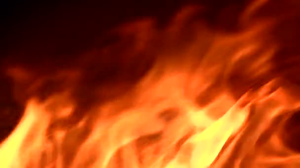 Brand in een pizza oven hout — Stockvideo