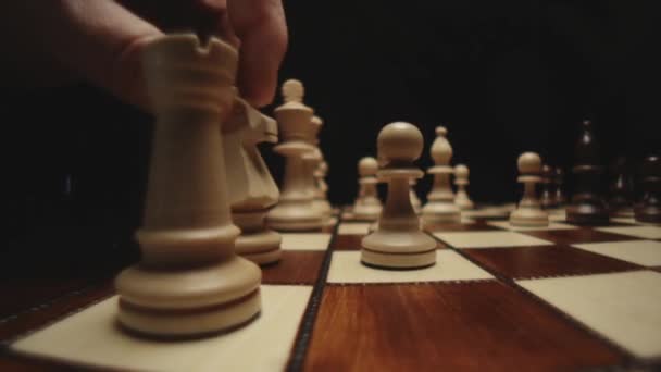 Échecs et pièces d'échecs