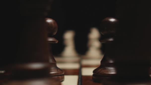 Échecs et pièces d'échecs