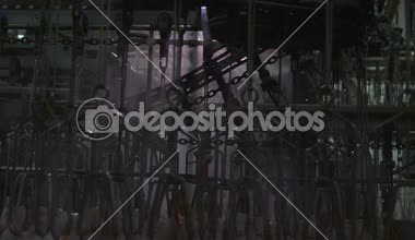 Fabrikada işleme tavuk