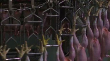 Fabrikada işleme tavuk